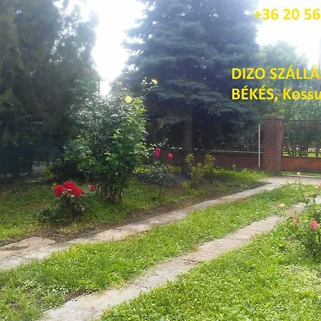 Dizo Szallashely Lejlighed Békés